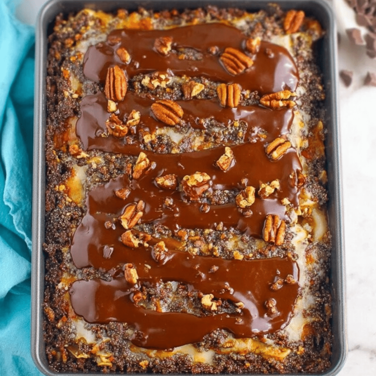 5 Layer Turtle Lasagna