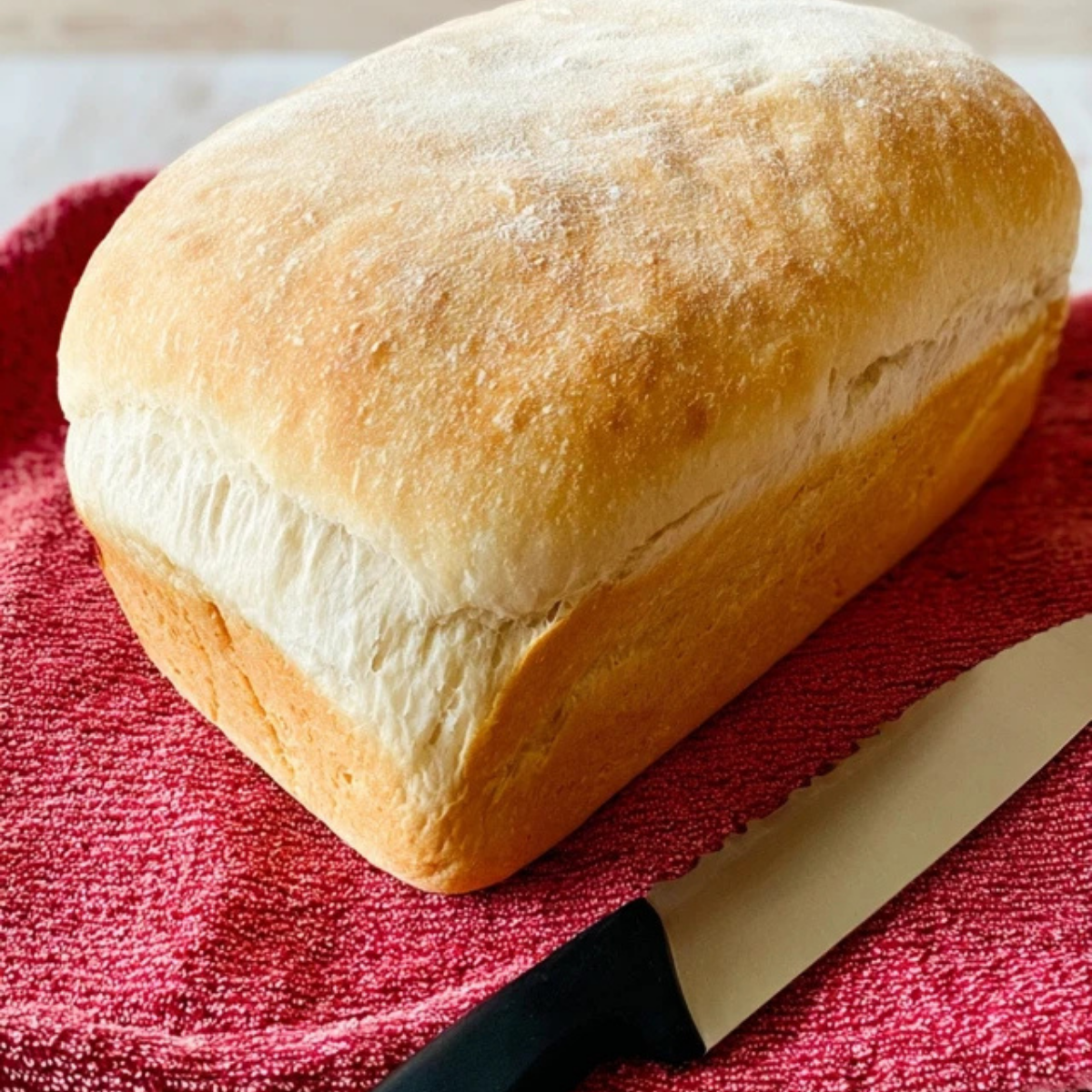 Soft Crust Sourdough Bread