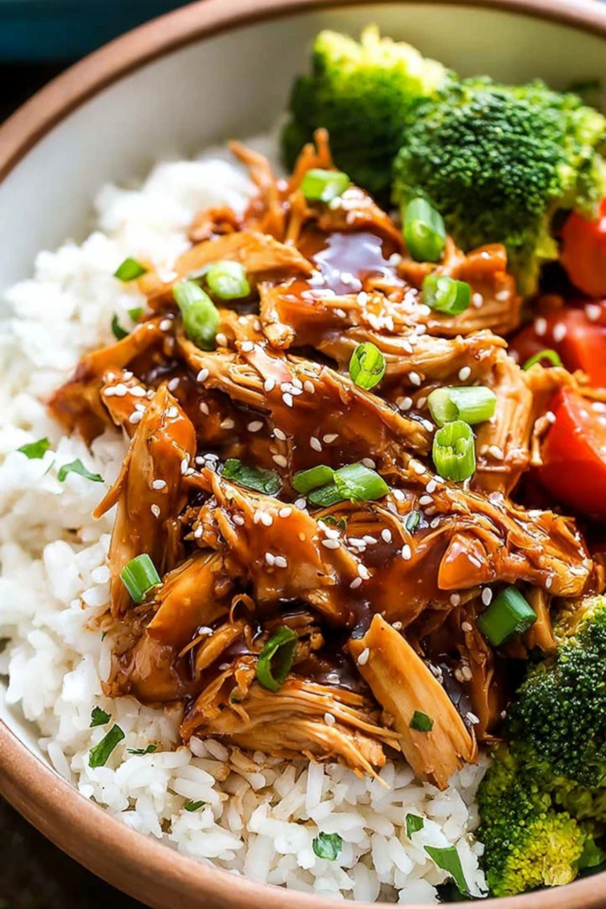 Crock Pot Teriyaki Chicken