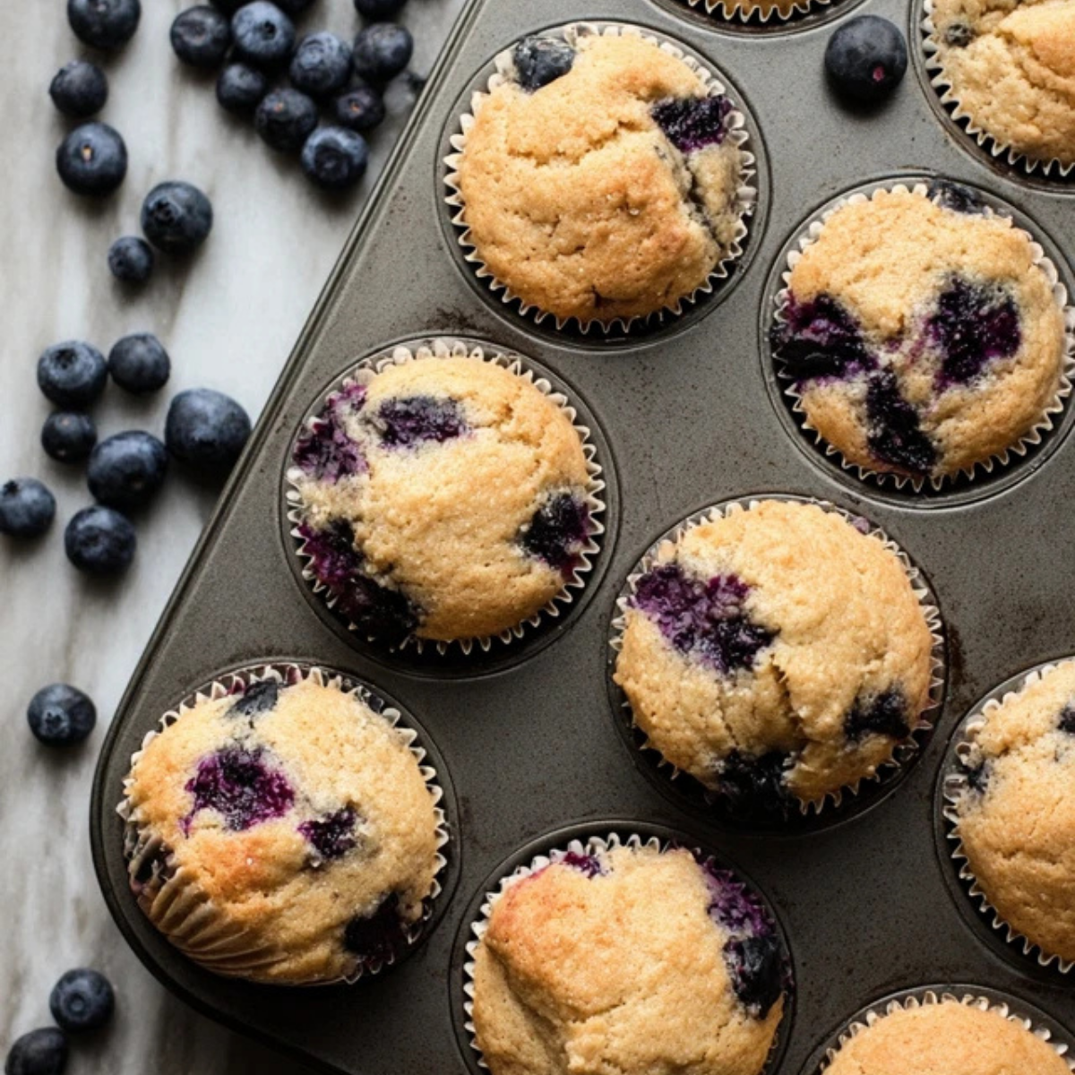 Blueberry Protein Muffins