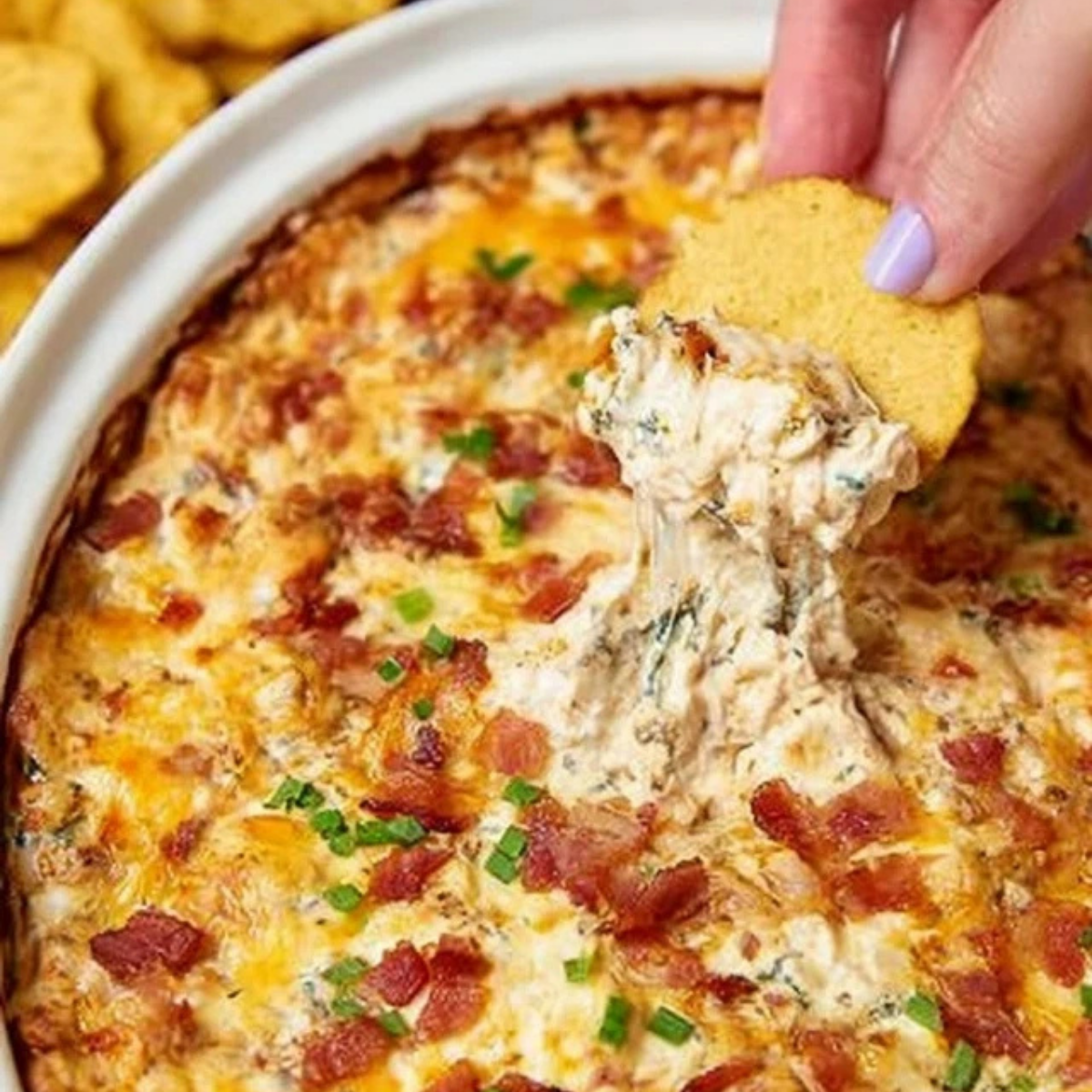 Warm Crack Chicken Dip