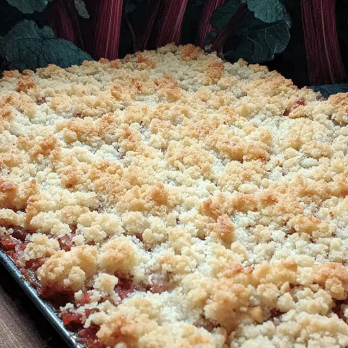 Rhubarb Platz